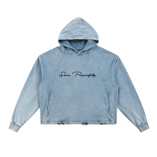 Coby Crop Vintage Washed Frayed Hoodie